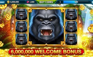 jiliko casino