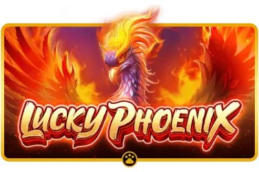 jiliko casino